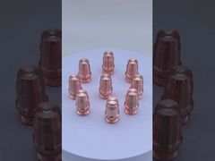 อิเล็กโทรด F006